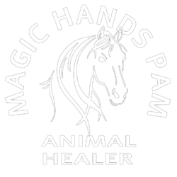 Magic Hands Pam
